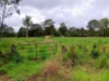 72-100 Meadow Road, Logan Reserve, Qld 4133-Image
