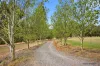 72 Alford Avenue, Eildon, Vic 3713-Image