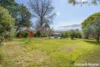 72 Arthur Circle, Forrest, ACT 2603-Image
