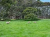 72 Beveridges Road, Hamilton, Vic 3300-Image