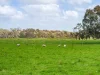 72 Beveridges Road, Hamilton, Vic 3300-Image