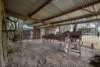 72 Boundary Road, Glossodia, NSW 2756-Image