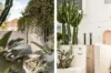 72 Brighton Boulevard, North Bondi, NSW 2026-Image