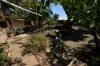 72 Euchie Street, Peak Hill, NSW 2869-Image