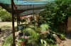 72 Euchie Street, Peak Hill, NSW 2869-Image