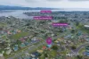 72 Franklin Street, George Town, Tas 7253-Image