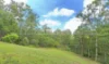 72 Gardiner Road, Waterford, Qld 4133-Image