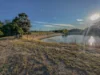 72 Halloran Drive, Thulimbah, Qld 4376-Image