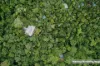 72 Holt Road, Garners Beach, Qld 4852-Image