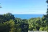 72 Holt Road, Garners Beach, Qld 4852-Image