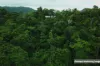 72 Holt Road, Garners Beach, Qld 4852-Image