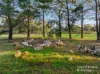 72 Jiparu Drive, Murrumbateman, NSW 2582-Image