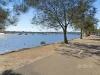 72 Justin Street, Lilyfield, NSW 2040-Image