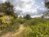 72 Kalari Drive, Wattle Grove, WA 6107-Image