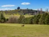 72 Little River Road, Braidwood, NSW 2622