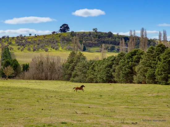 72 Little River Road, Braidwood, NSW 2622