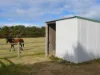 72 Little River Road, Braidwood, NSW 2622-Image