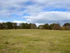 72 Little River Road, Braidwood, NSW 2622-Image