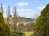 72 Little River Road, Braidwood, NSW 2622-Image