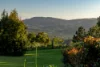 72 Mccarthy Shute Road, Maleny, Qld 4552-Image