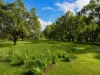 72 Reservoir Road, Orange Grove, WA 6109-Image