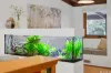 72 Sharwood Crescent, Evatt, ACT 2617-Image