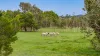 72 Streeter Drive, Agnes Water QLD 4677-Image