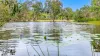72 Streeter Drive, Agnes Water QLD 4677-Image