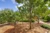 72 Sue Geh Circuit, Nicholls, ACT 2913-Image