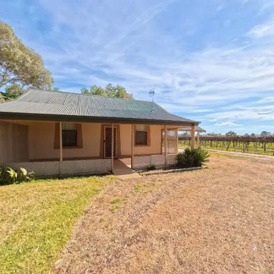 72 Thelma Road, Barmera, SA 5345