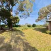 72 Thelma Road, Barmera, SA 5345-Image
