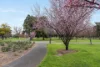 72 Wellington Square, North Adelaide, SA 5006-Image