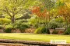 720 Walshs Road, McKenzie Creek, Vic 3401-Image