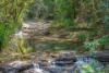 721 Pinchin Road, Goolmangar, NSW 2480-Image