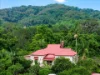 722 Main Arm Road, Main Arm, NSW 2482-Image