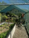 722 Main Arm Road, Main Arm, NSW 2482-Image