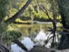 722 Main Arm Road, Main Arm, NSW 2482-Image