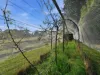 724 Nubeena Road, Koonya, Tas 7187-Image