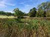 724 Nubeena Road, Koonya, Tas 7187-Image