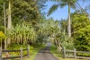 728 Binna Burra Road, Federal, NSW 2480-Image