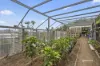 728 Oceana Drive, Tranmere, Tas 7018-Image