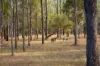 73-91 Goebels Road, Mutdapilly, Qld 4307-Image
