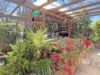 73 Acacia Avenue, Leeton, NSW 2705-Image