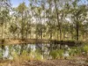 73 Ashlands Drive, Helidon Spa, Qld 4344-Image