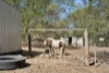 73 Bayley Road, Blacksoil QLD 4306-Image