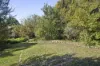 73 Beauchamp Street, Kyneton, Vic 3444-Image