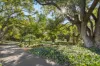 73 Chatsworth Road, Highgate, WA 6003-Image