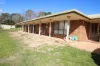 73 Clive Street, Tenterfield, NSW 2372-Image