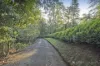 73 Emerald Creek Road, Monbulk, Vic 3793-Image