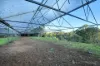 73 Emerald Creek Road, Monbulk, Vic 3793-Image